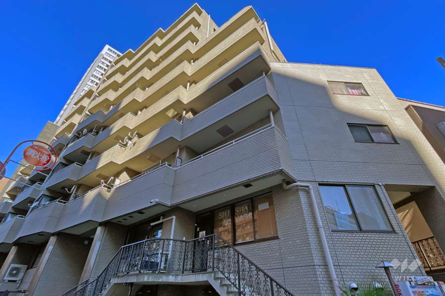 ビクセル新宿の外観（南東側から）