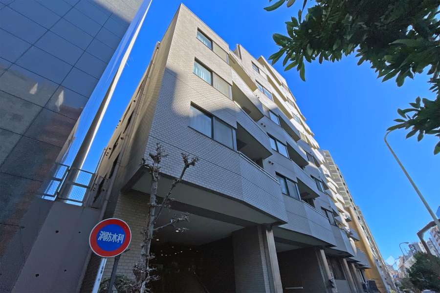 ビクセル新宿の外観（南西側から）