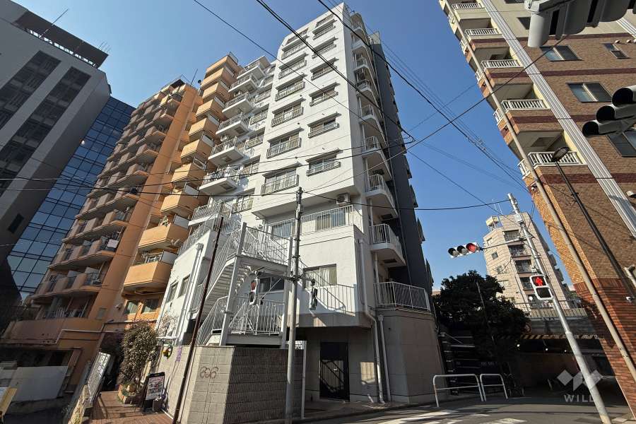 レジェンド新宿の外観（南東側から）