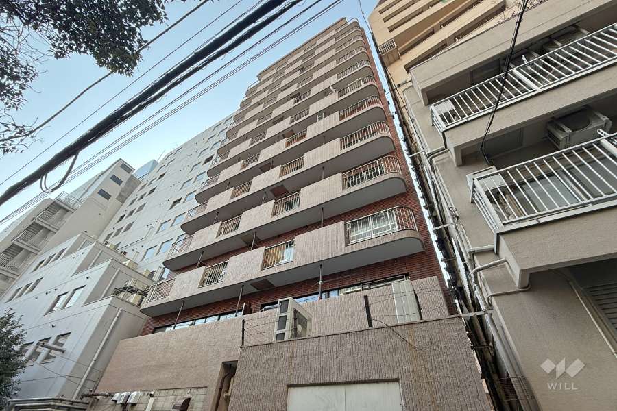 シルバーマンション新宿の外観（北東側から）