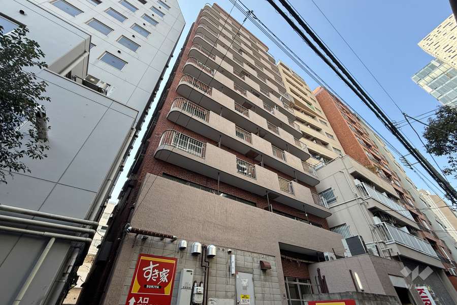 シルバーマンション新宿の外観（南東側から）