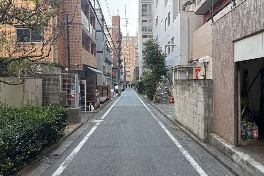 敷地東側の前面道路　