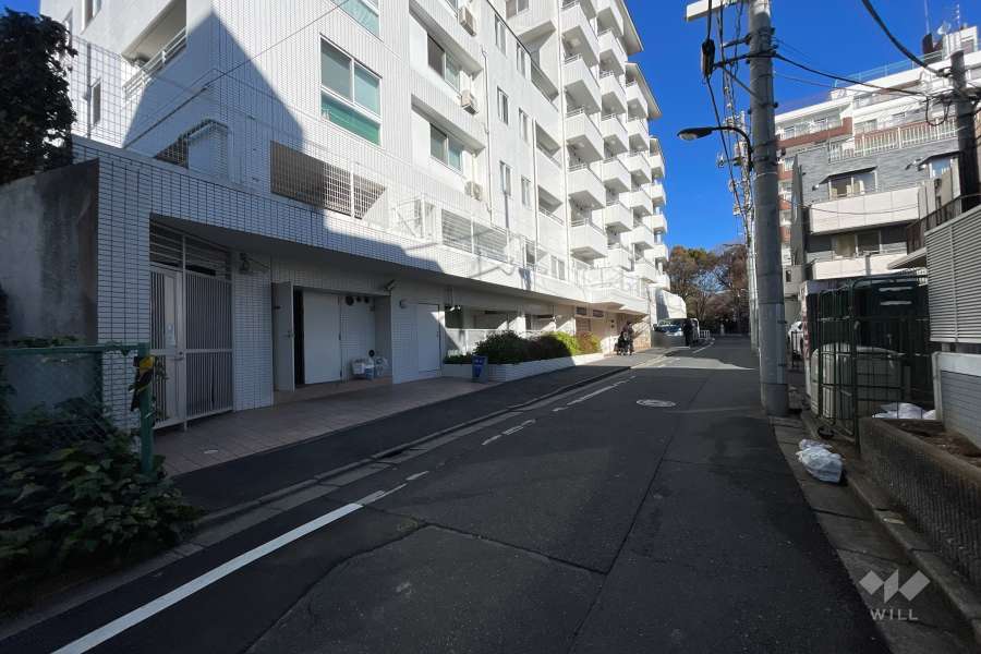 敷地の東側前面道路（南側から）