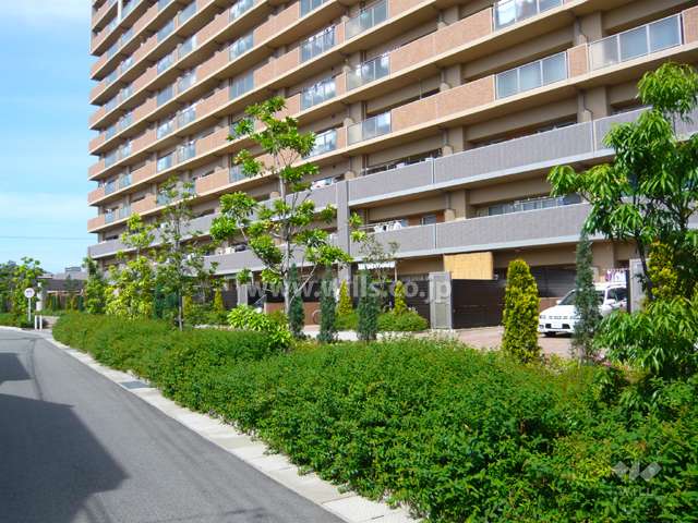 敷地内には植栽スペースが多く、緑豊かです。