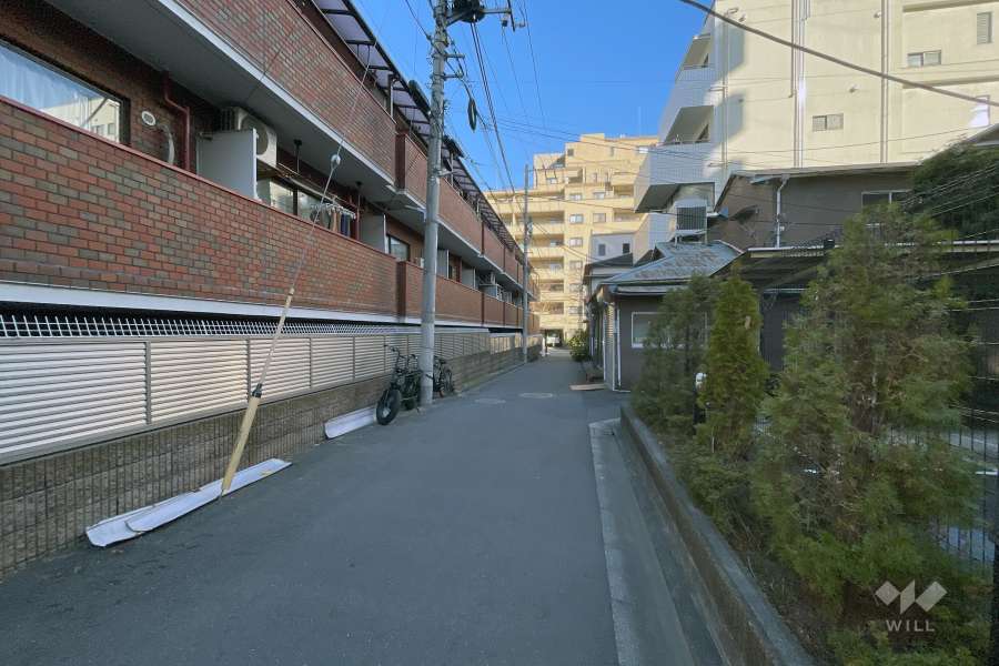 敷地の南側前面道路（西側から）