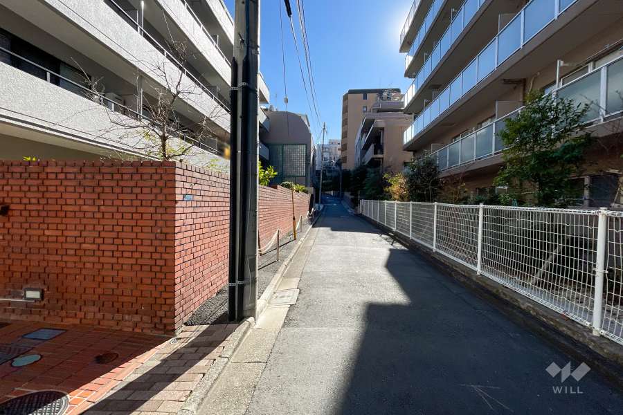 敷地西側の前面道路（北側から）