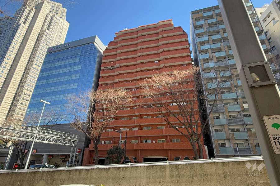 西新宿ダイヤモンドパレスの外観（南西側から）