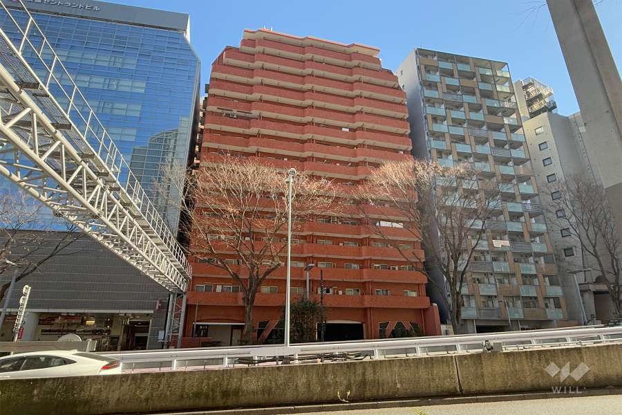 西新宿ダイヤモンドパレスの外観（北西側から）