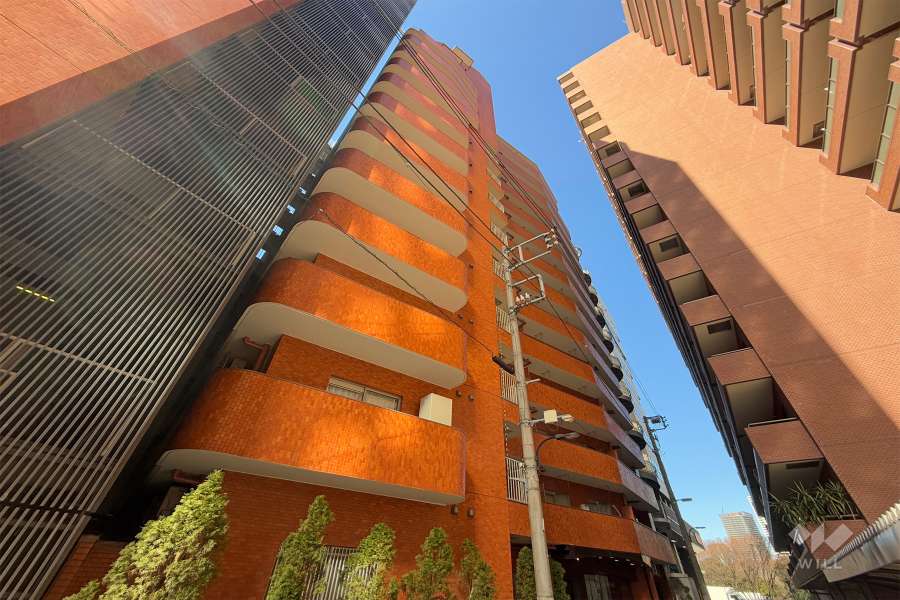 西新宿ダイヤモンドパレスの外観（南東側から）