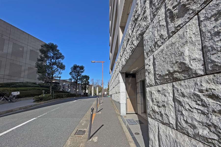 敷地の南西側前面道路（南東側から）