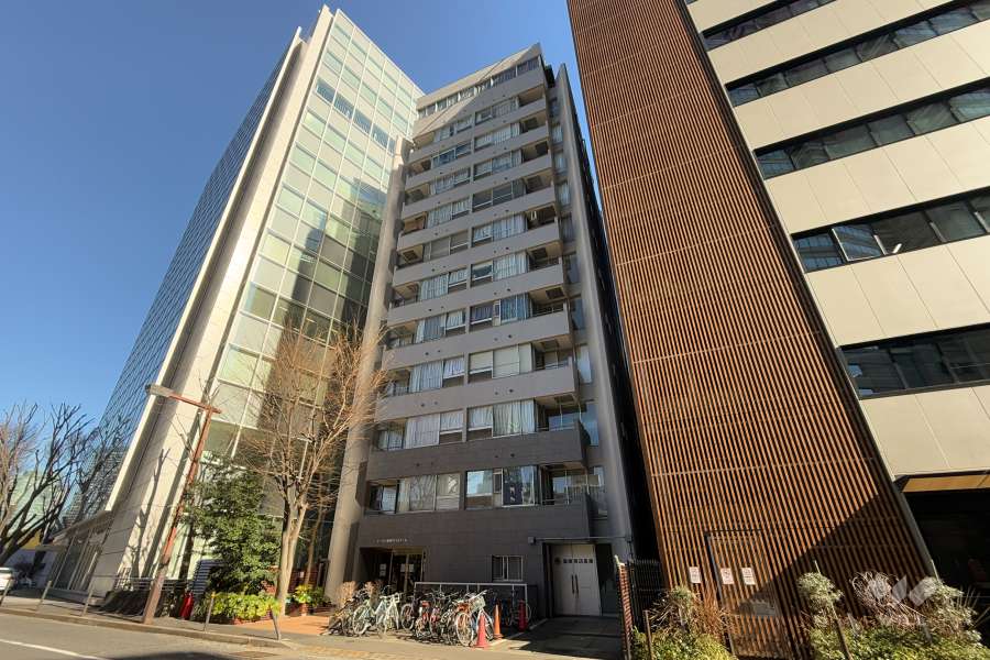 トーカン新宿キャステールの外観（南西側から）