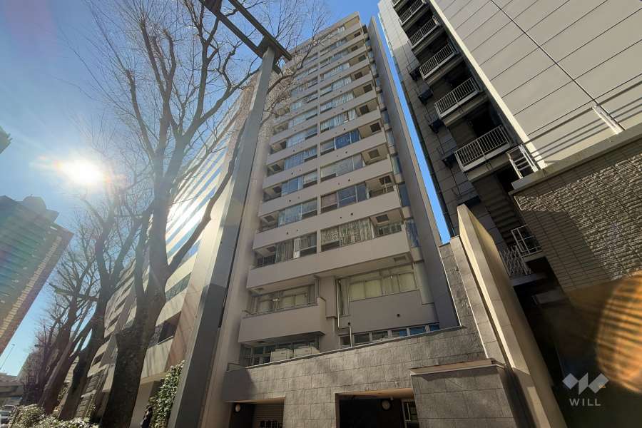 トーカン新宿キャステールの外観（北東側から）