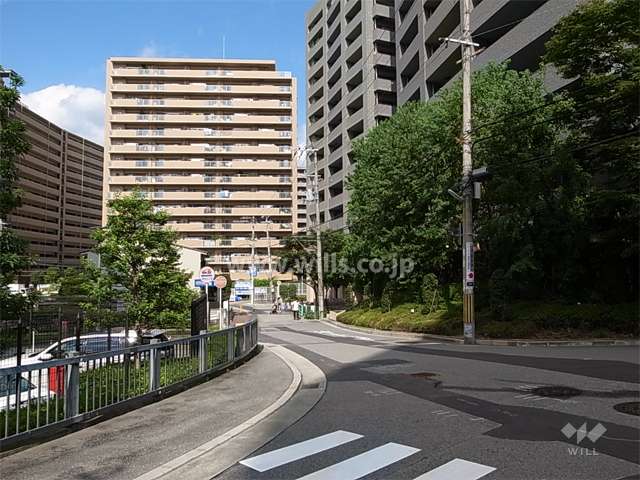 敷地南側の前面道路。