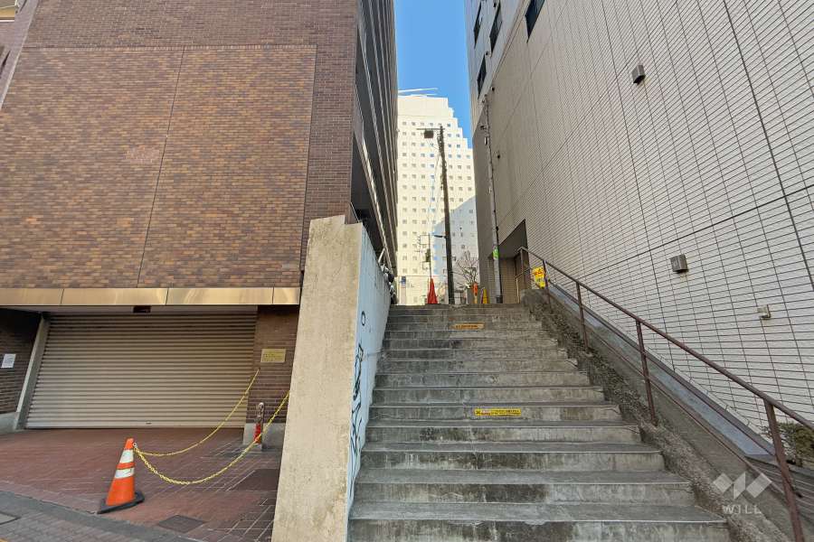 敷地南側の通路