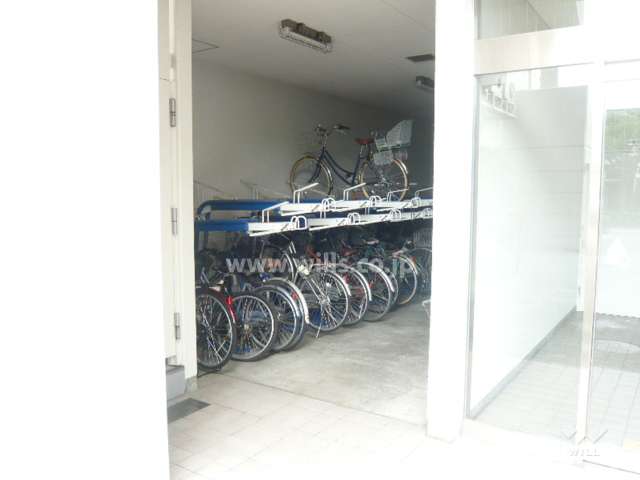 自転車置き場