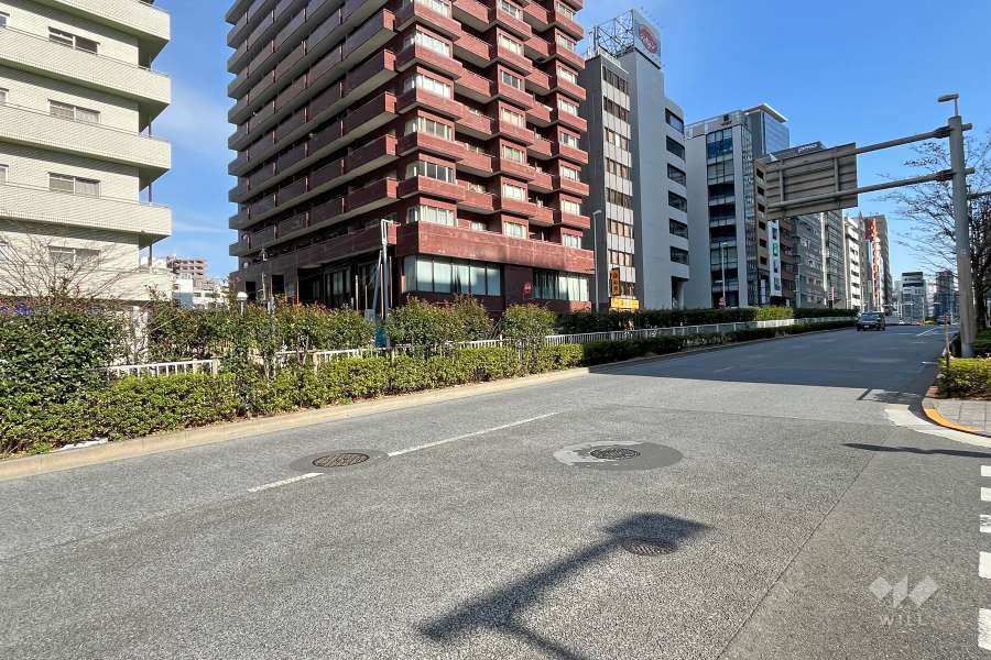 敷地南側の前面道路（西側から）