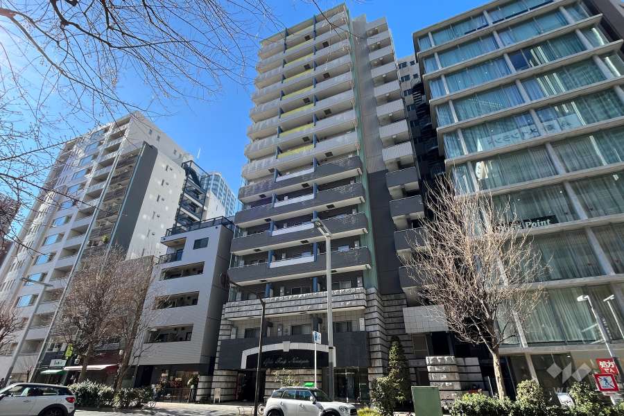 ガラグランディ西新宿の外観（北東側から）