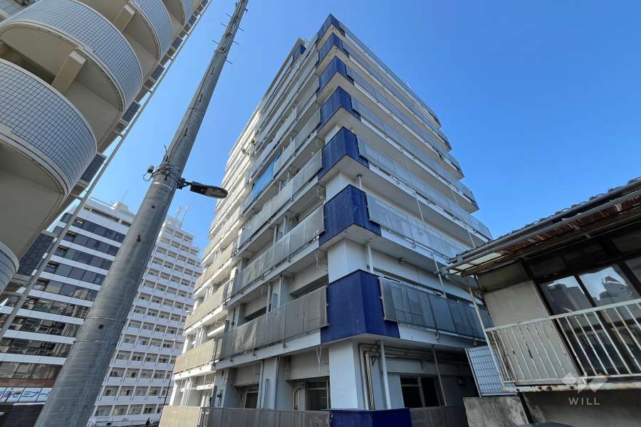 新宿ニューハウジングの外観（南東側から）