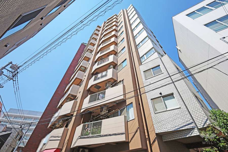 藤和西新宿コープの外観（南側から）