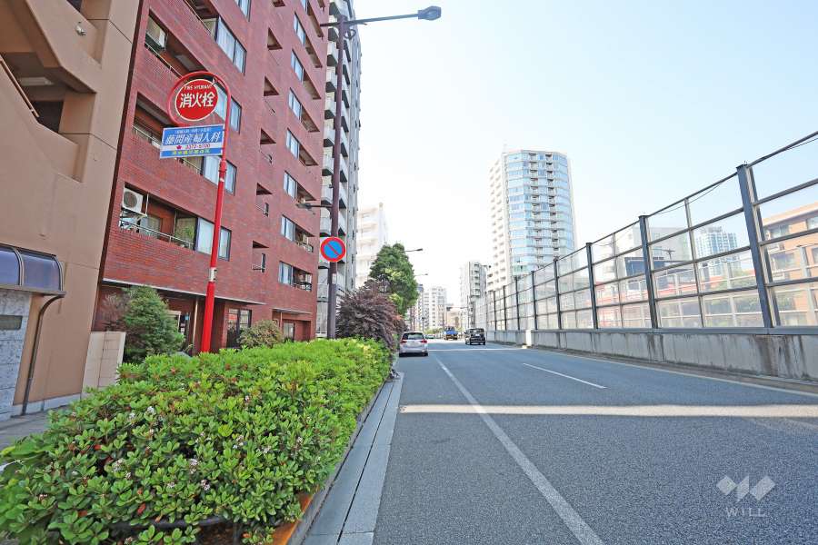 敷地北東側の前面道路