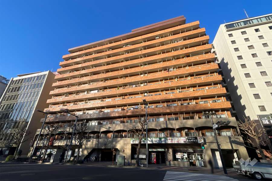 永谷リヴュール新宿の外観（北東側から）