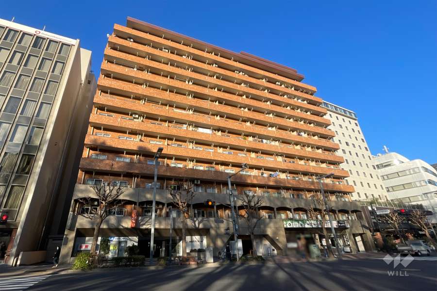 永谷リヴュール新宿の外観（南東側から）