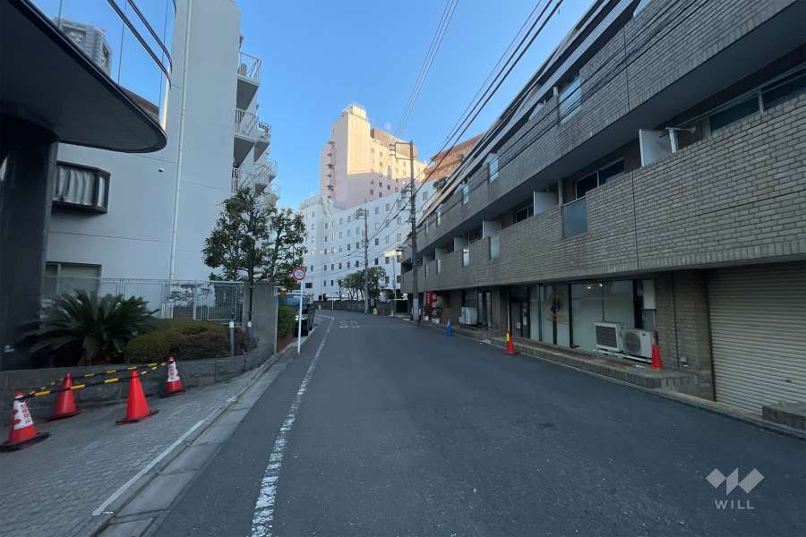 敷地西側の前面道路（南側から）