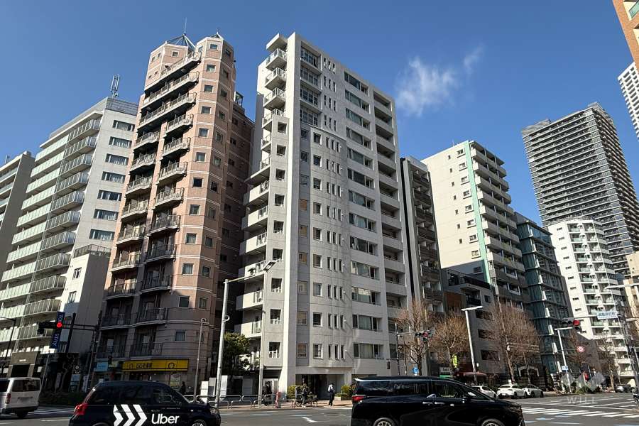 ラコント新宿セントラルパークアパートメントの外観（南東側から）