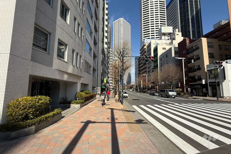敷地の東側前面道路（南側から）