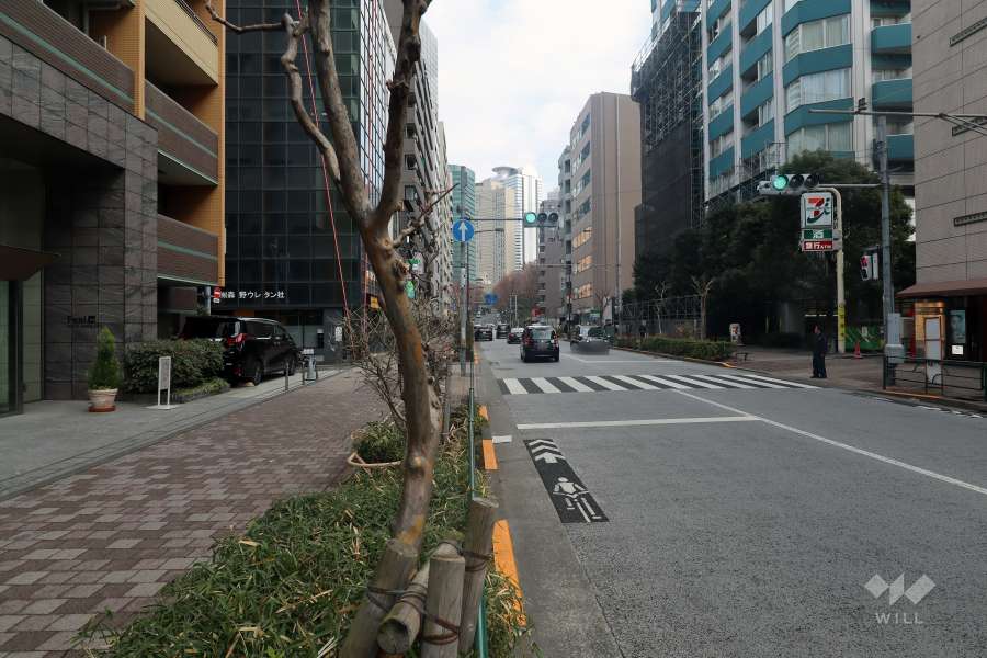 敷地の南側の前面道路（西側から）
