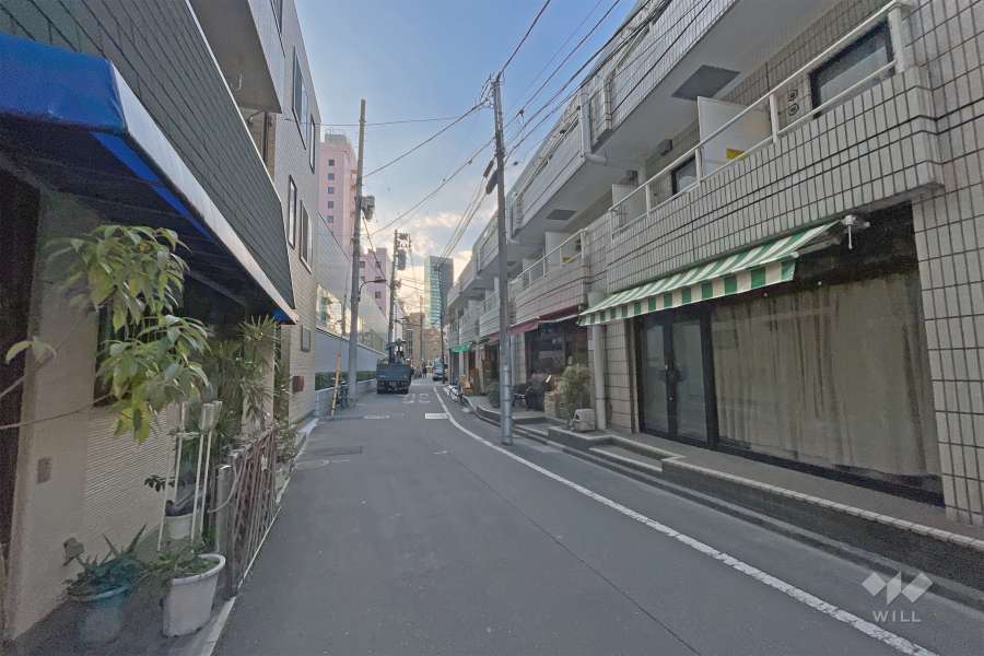 敷地の東側前面道路（北側から）