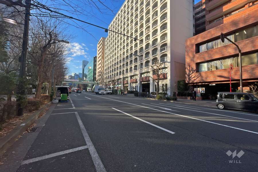 敷地東側の前面道路（北側から）
