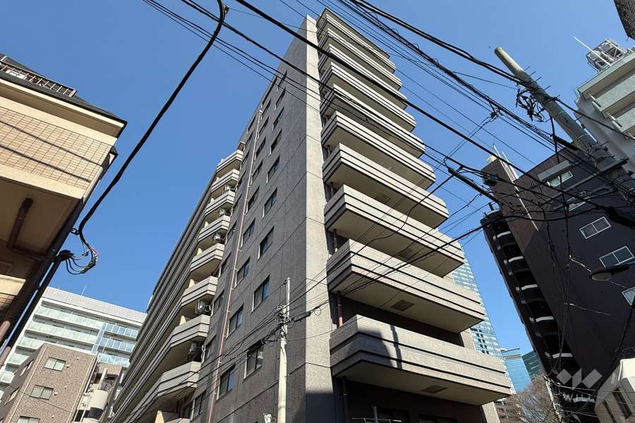 東建ニューハイツ西新宿の外観（南西側から）