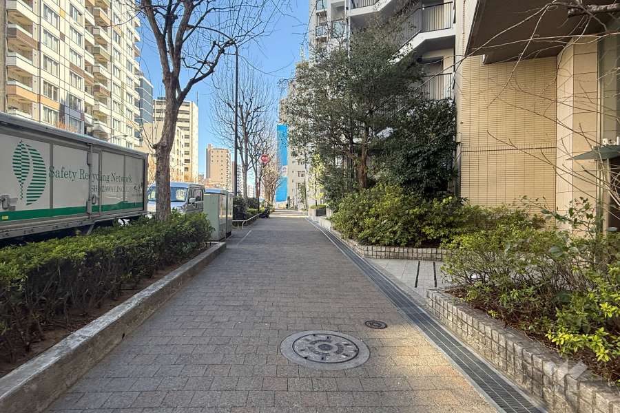 敷地北側の前面道路