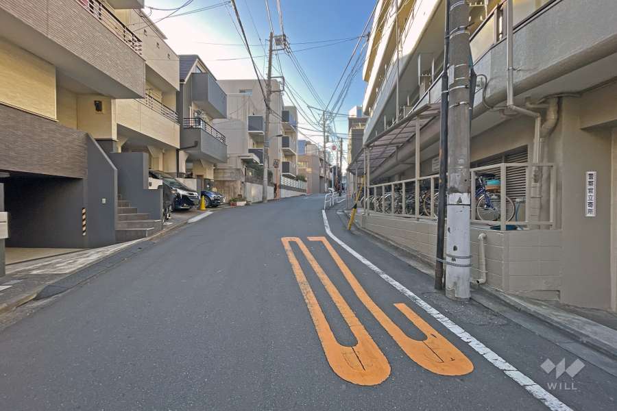 敷地の東側前面道路（北側から）