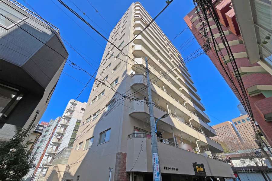 新宿パークサイド永谷の外観（南西側から）