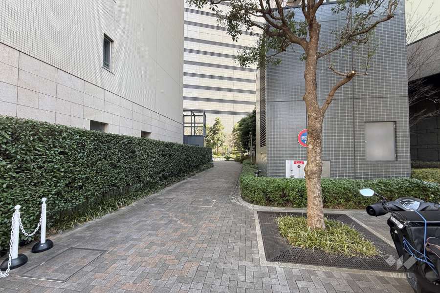 敷地の北側前面道路（西側から）