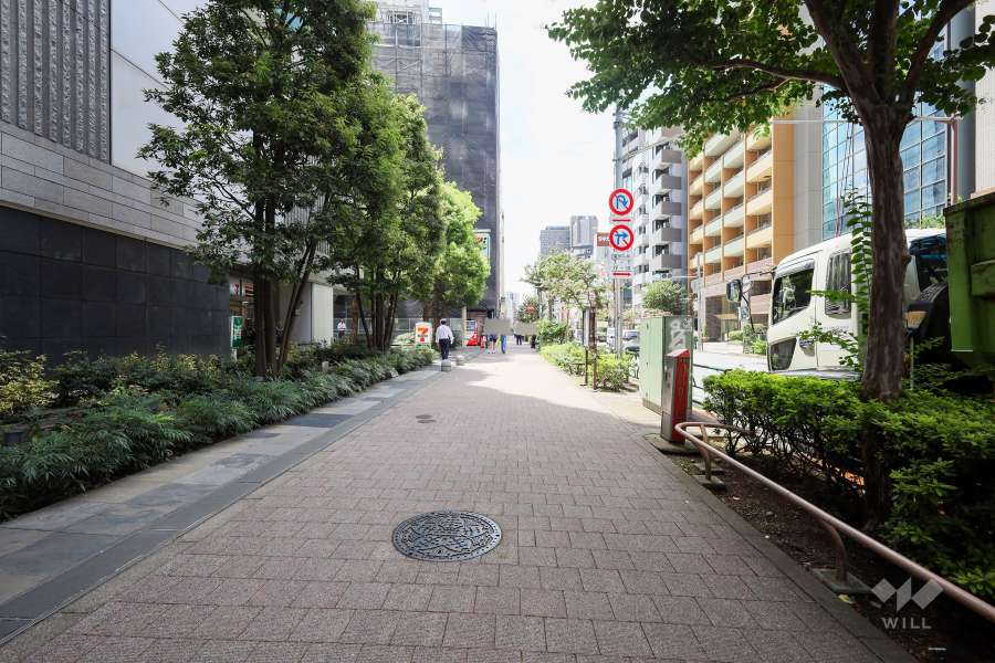 敷地北西側の前面道路（北東側から）
