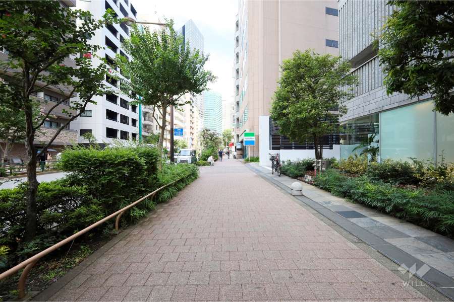 敷地北西側の前面道路（南西側から）