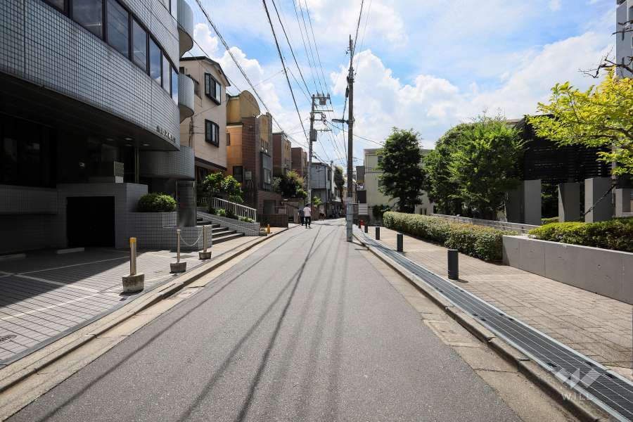 敷地南東側の前面道路（南東側から）