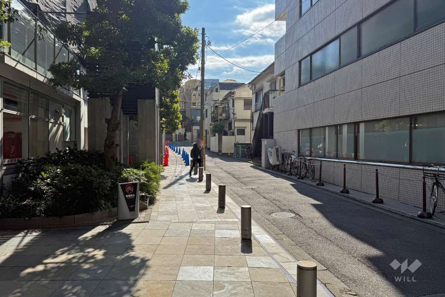 敷地南西側前面道路（北西側から）