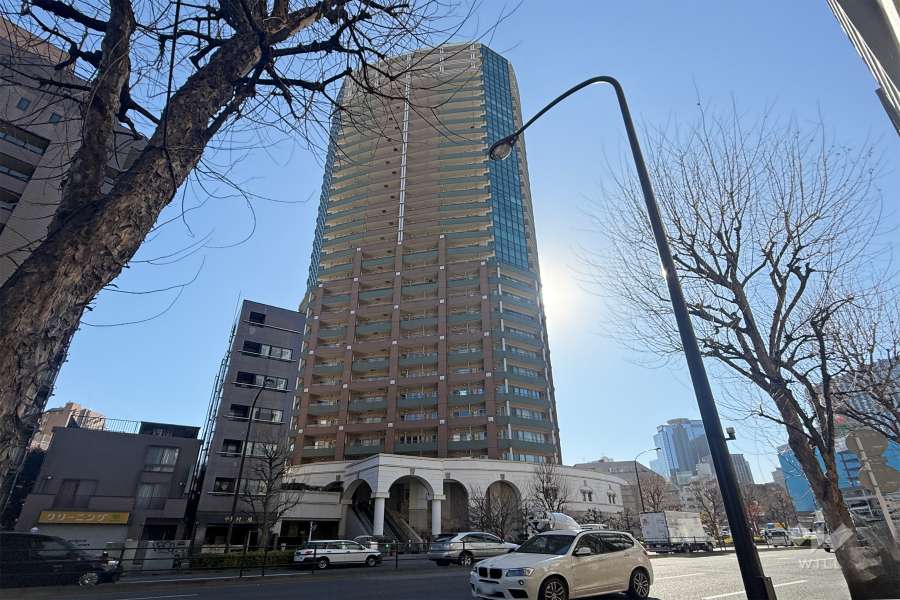 セントラルレジデンス新宿シティタワーの外観（北東側から）