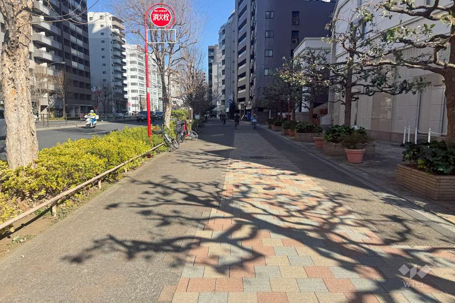 敷地北側の前面道路　