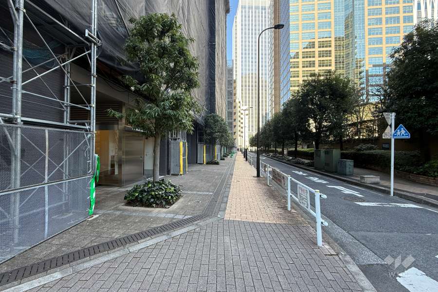 敷地の南東側前面道路（南西側から）