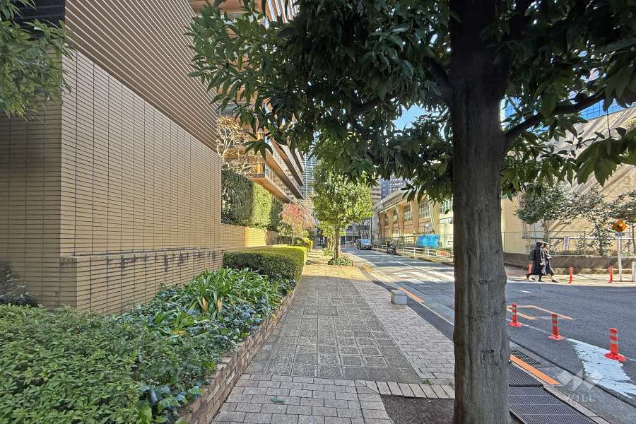 敷地の南西側前面道路（北西側から）