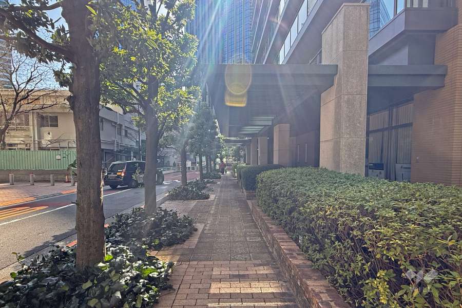 敷地の南東側前面道路（北東側から）