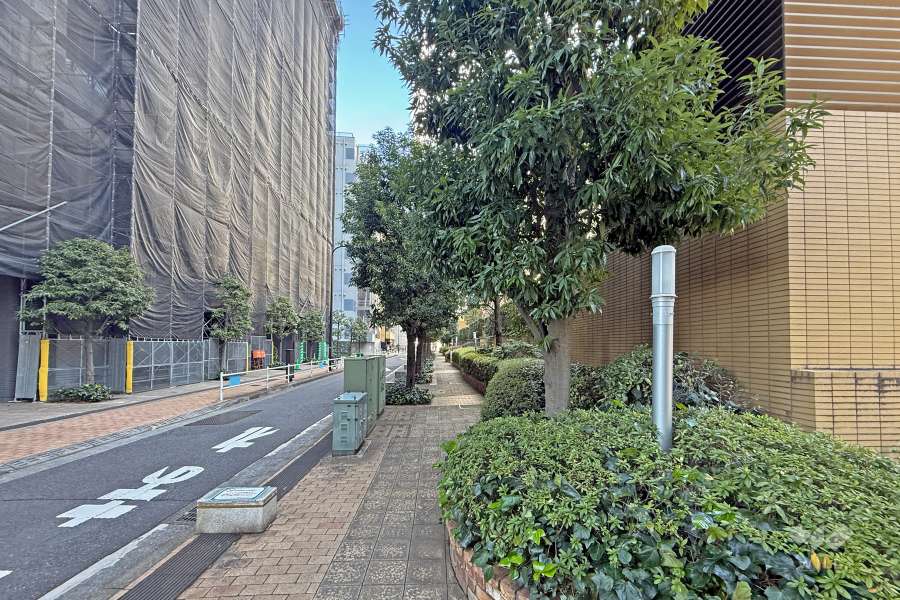 敷地の北西側前面道路（南西側から）
