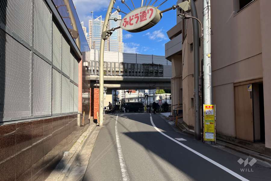 敷地の南側前面道路（西側から）