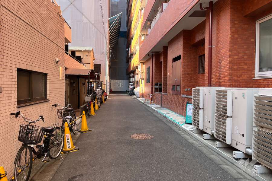 敷地の西側前面道路（南側から）