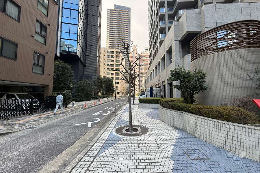 敷地の南側前面道路（東側から）